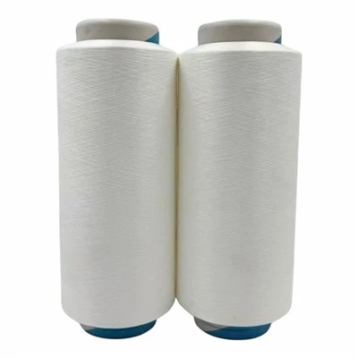 Nylon ACY